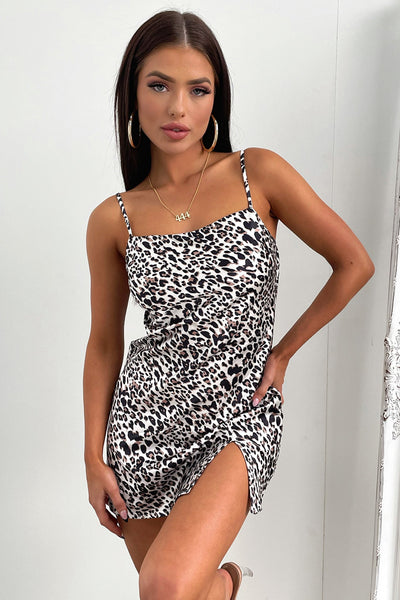 Thats So Fetch | Zara Dress | leopard