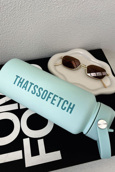 TSF Insulated Drink Bottle 1L - Blue